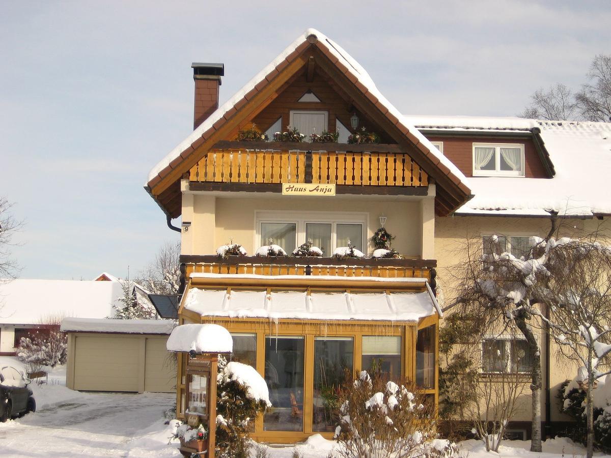 Haus Anja Lägenhet Titisee-Neustadt Exteriör bild